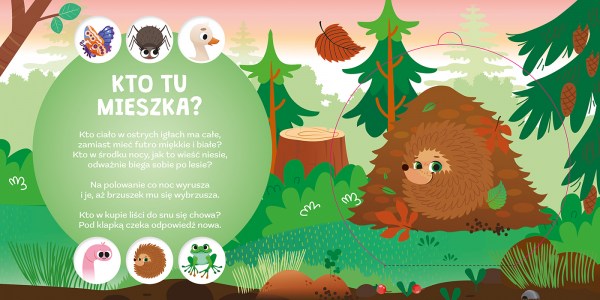 Czy juz wiesz gdzie spi jez srodki elibri 2